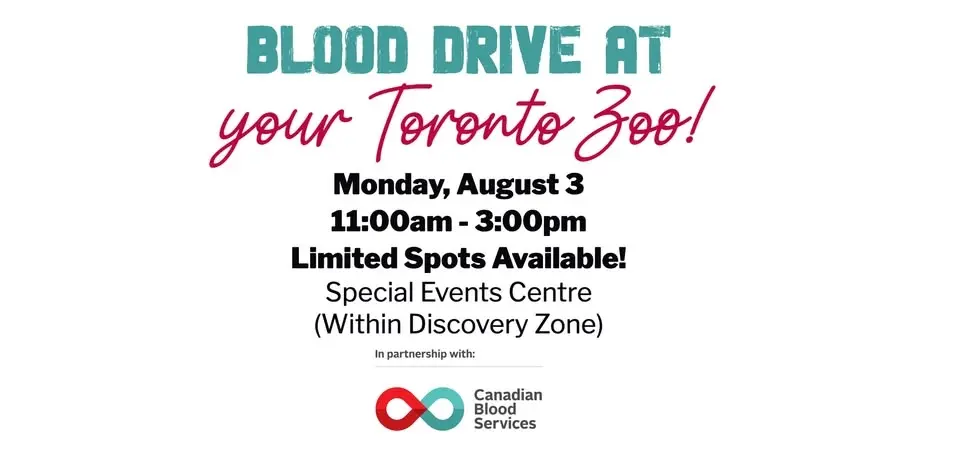 Blood Drive at Your Toronto Zoo 🩸