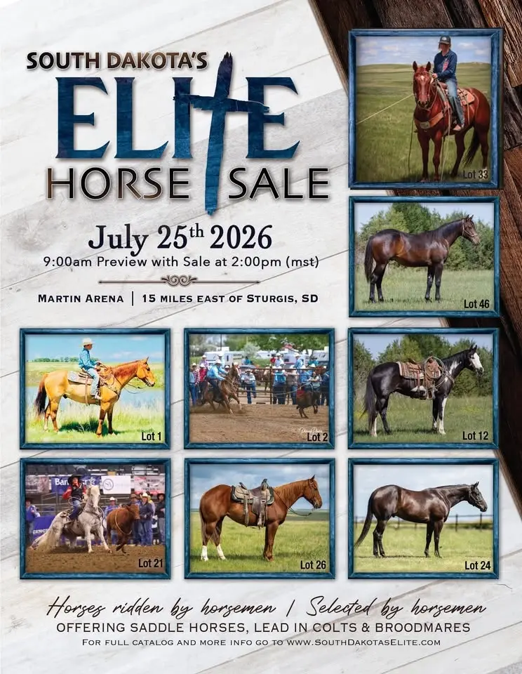 South Dakota's Elite Horse Sale
