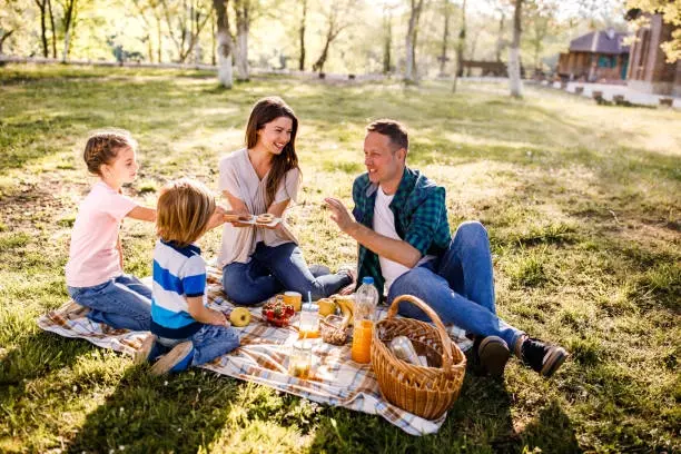PICNIC APOCALYPSE! - Group Dog Training Workshop