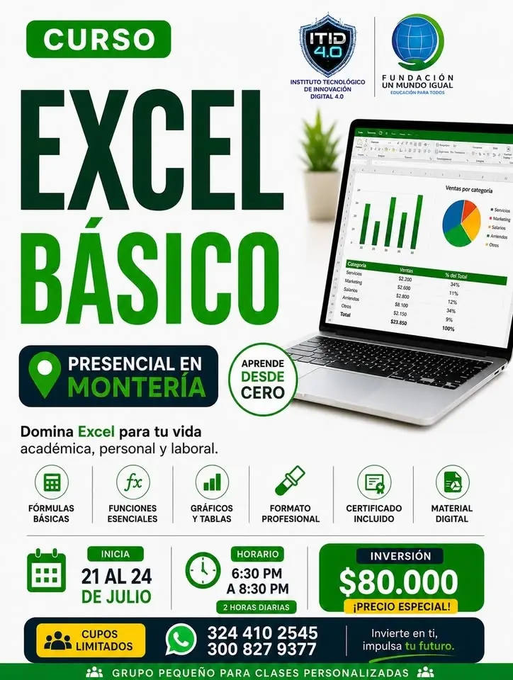 Curso de Excel Básico_ Presencial en Montería