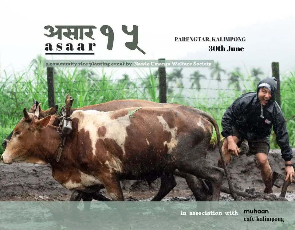 Asaar Pandhra Festival 2026
