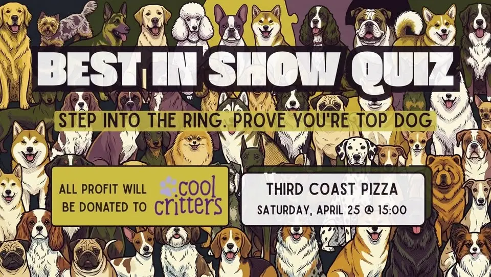 🐾 BEST IN SHOW QUIZ 🐾