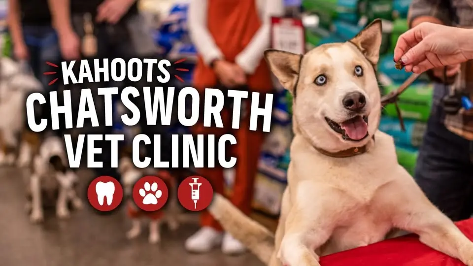 Low Stress Vet Clinic & Teeth Cleaning