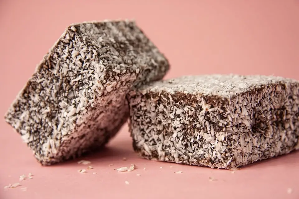 Kids Mornings: Sweet Little Creatures - Celebrate National Lamington Day π°π