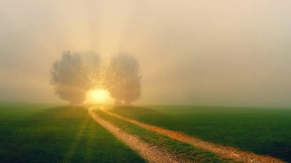 Holotropic Breathwork® in the Heart of Berlin