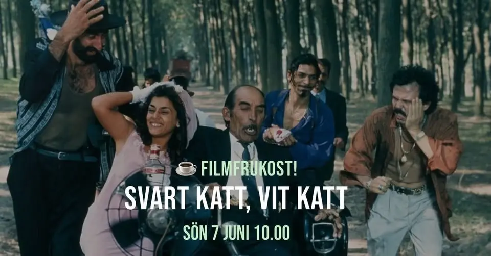 Extrainsatt filmfrukost på Aspen! ☕ Svart katt, vit katt