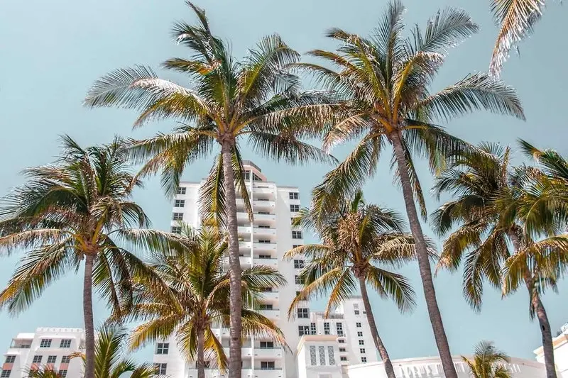 Afrorave: Miami Vibes