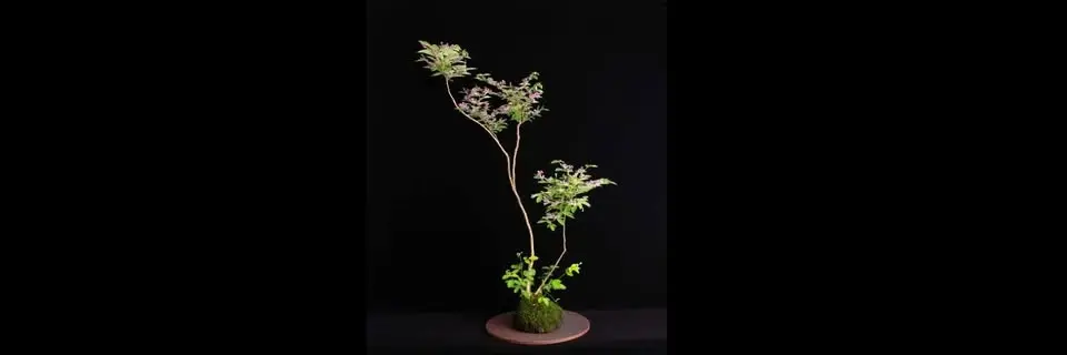 Introduction to the Art of Kusamono Workshop