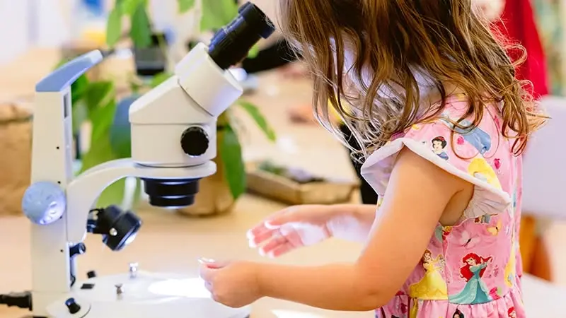 Magnifying Small Wonders