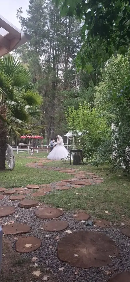 bodas de plata