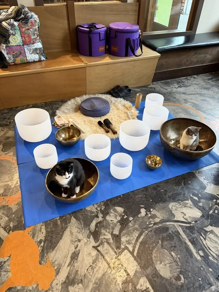 Sound Bath with Cats
