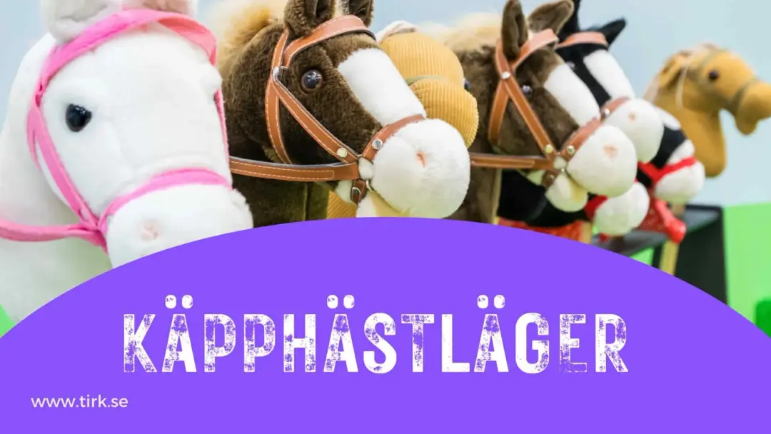 Käpphästläger 