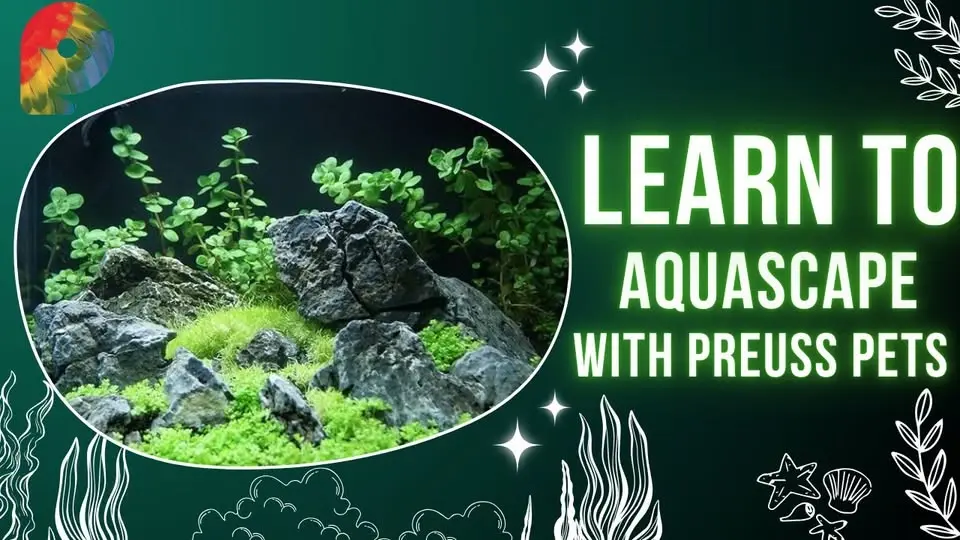 Aquascaping Class Series