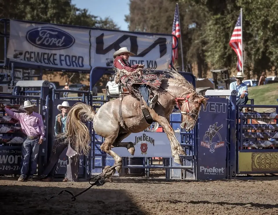 Marysville Stampede Rodeo