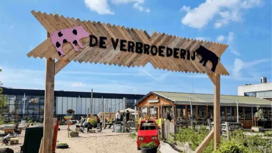 Het Bloeifest