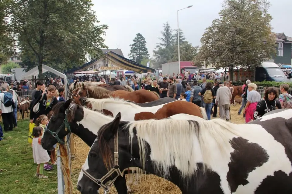 Foire de Beaucroissant