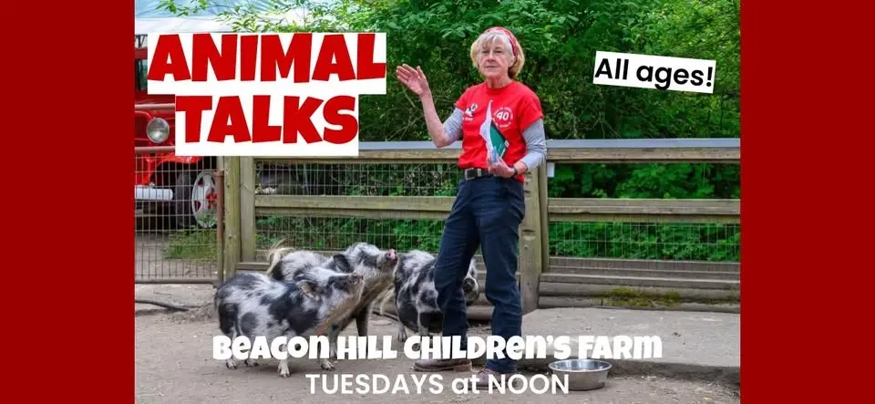 Animal Talks