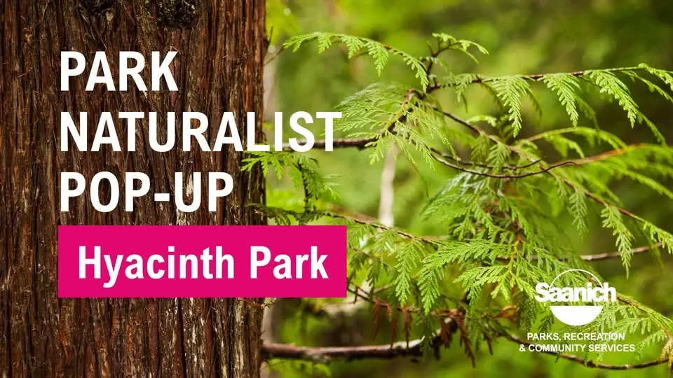 Park Naturalist Pop-up and Nature Walk - Hyacinth Park
