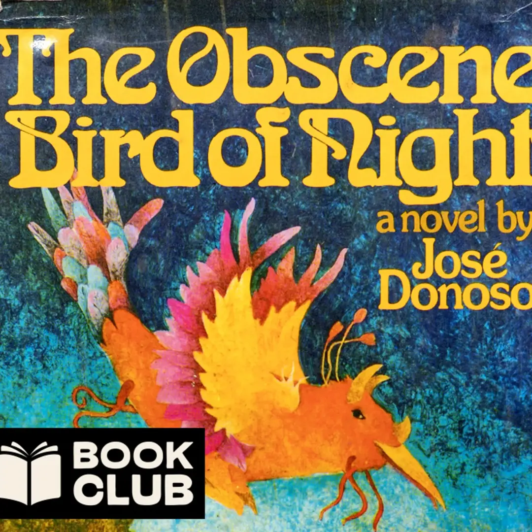 Book club: The Obscene Bird of Night by José Donoso