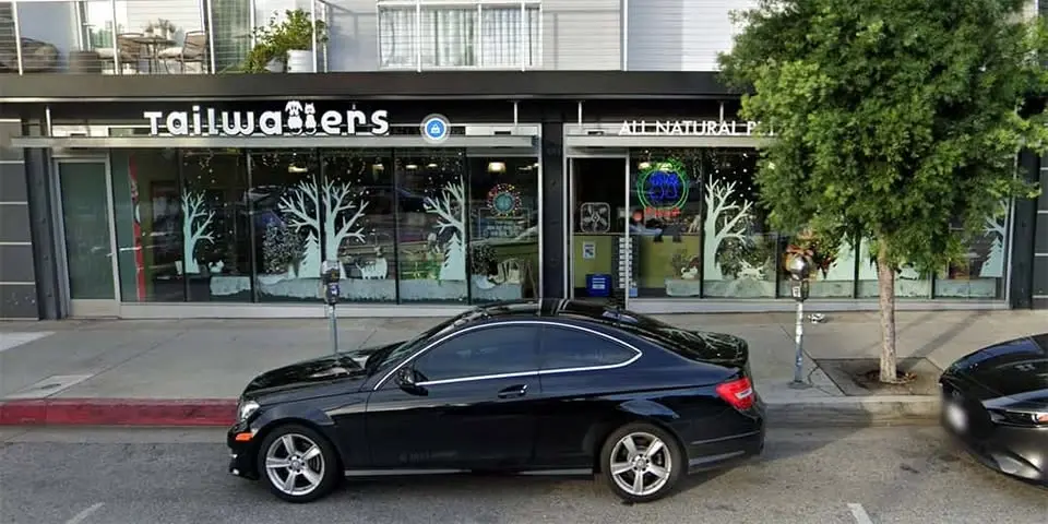L.A. (Melrose) - Dog teeth cleaning