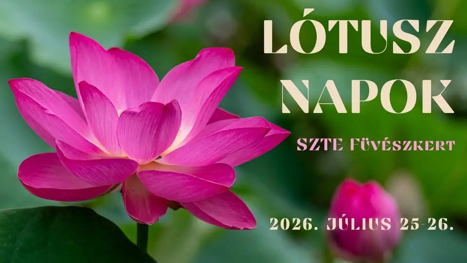 Lótusz napok