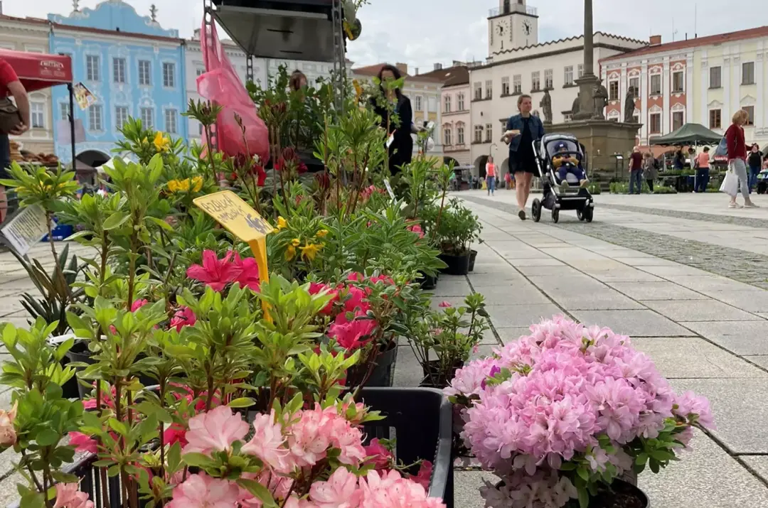 Novojičínský jarmark – Květinový