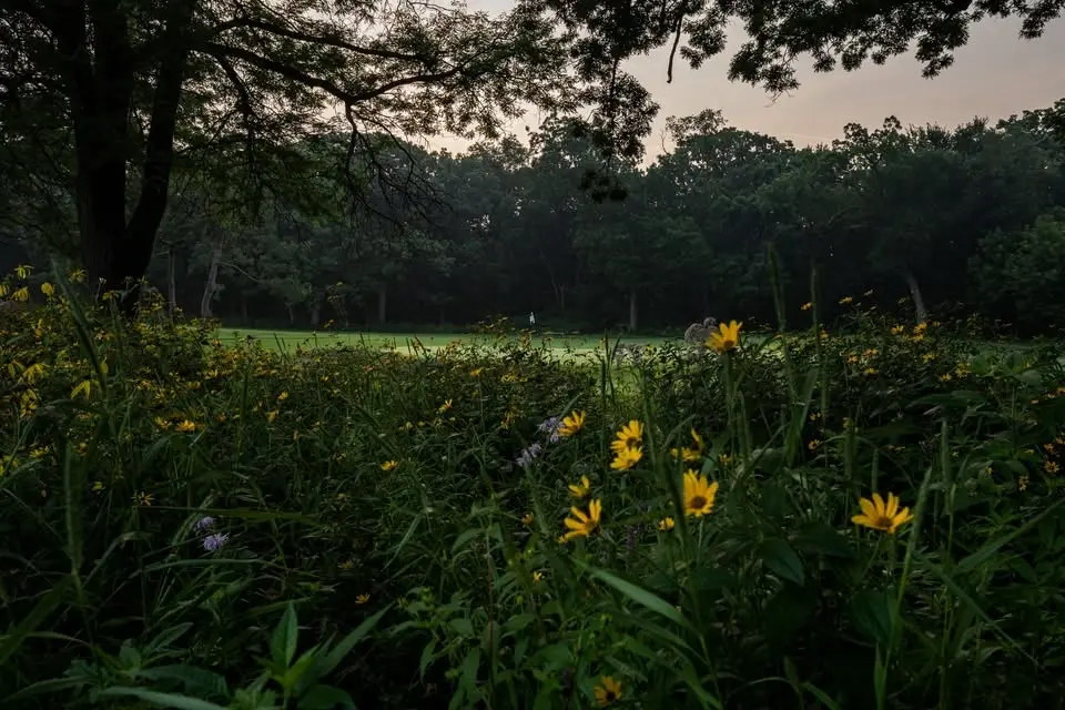 Volunteer at The Glen