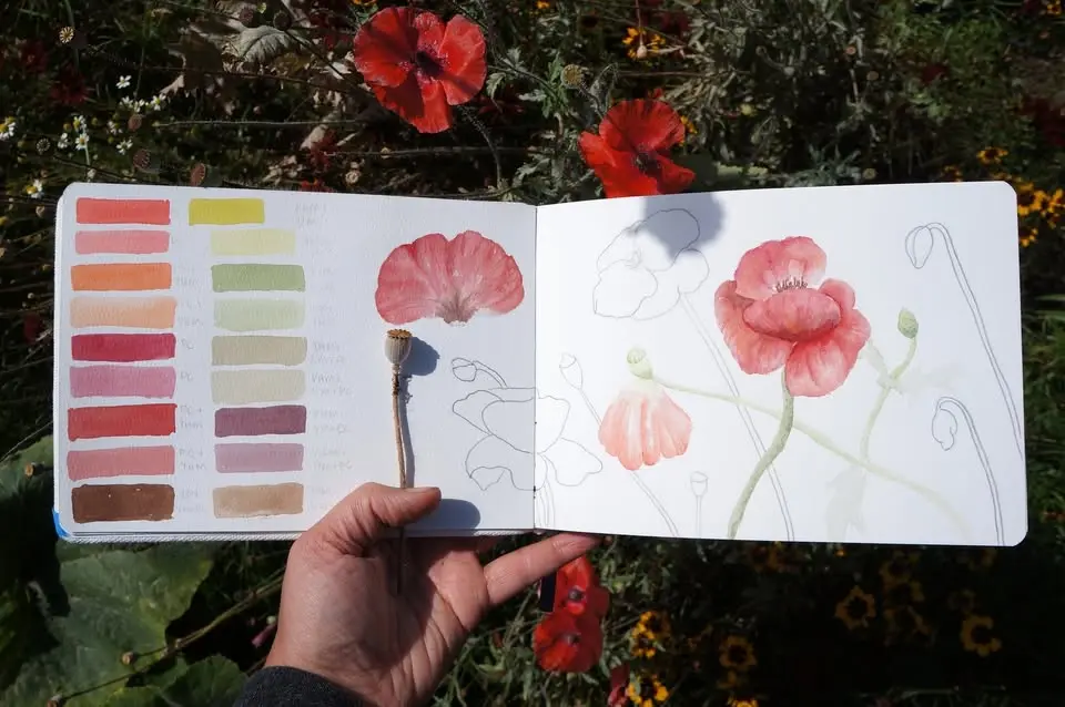 Field Sketching Plants in Watercolor (in-person)