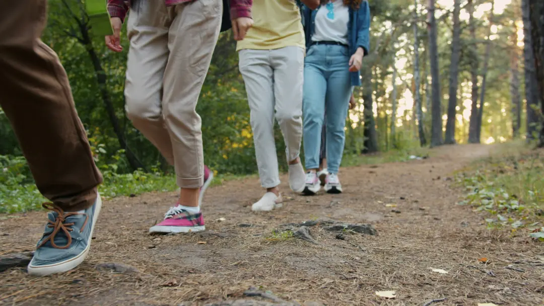 The Blindfold Walk: Let go of sight. Find out what's left.