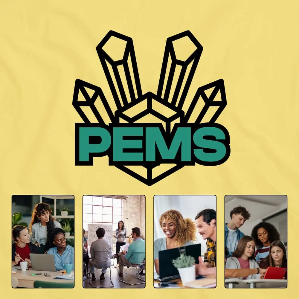 PEMS Focus Group
