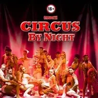 Gandeys Circus by Night Nottingham