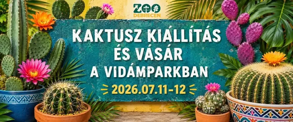Kaktusz kiállítás és vásár