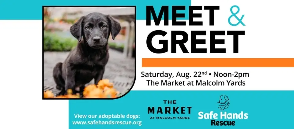 Safe Hands Rescue Meet & Greet at The Market at Malcolm Yards