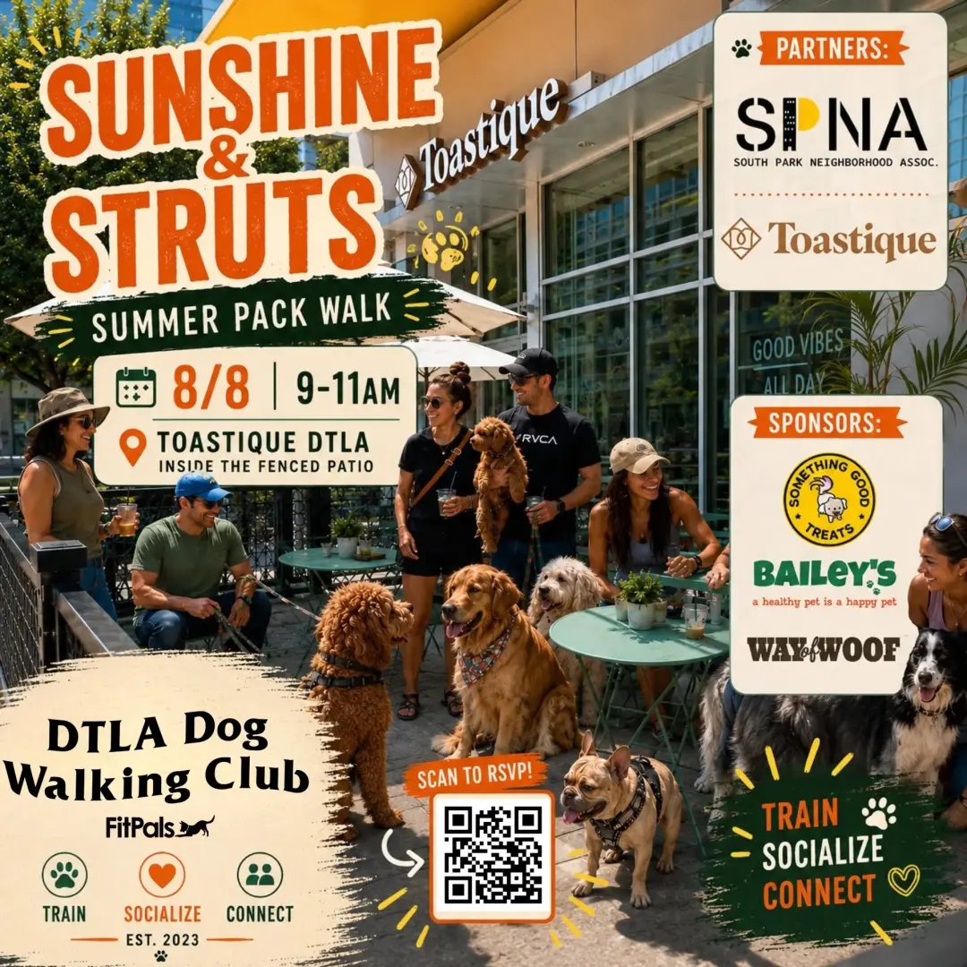 Sunshine & Struts: Summer Pack Walk ☀️🐾