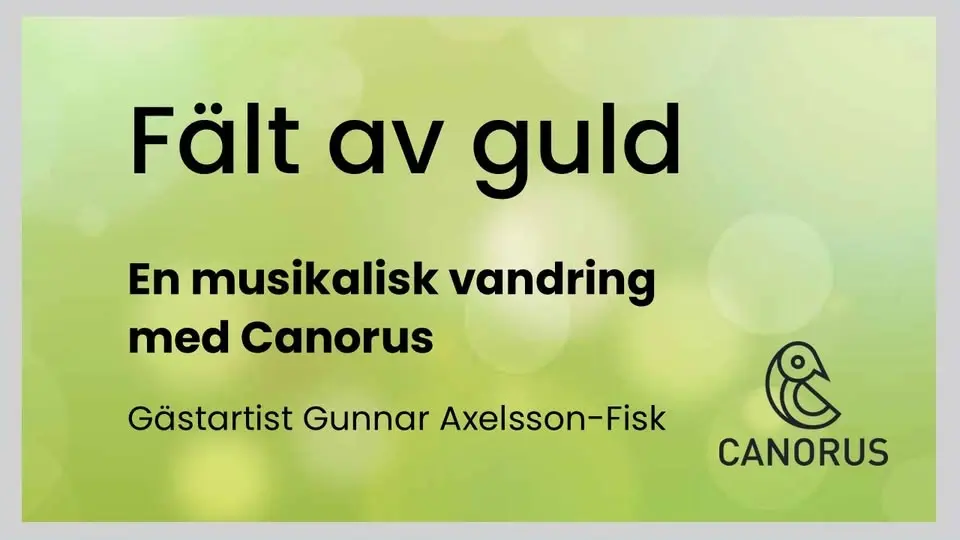 Fält av guld – En musikalisk vandring i Botan