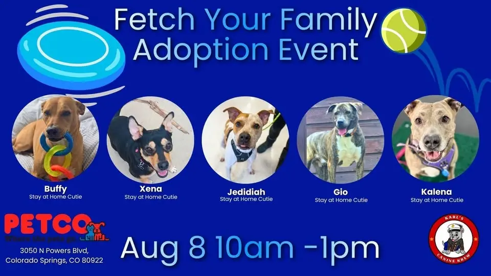 🐾 KCK's Fetch Your Family Adoption Event 🐾