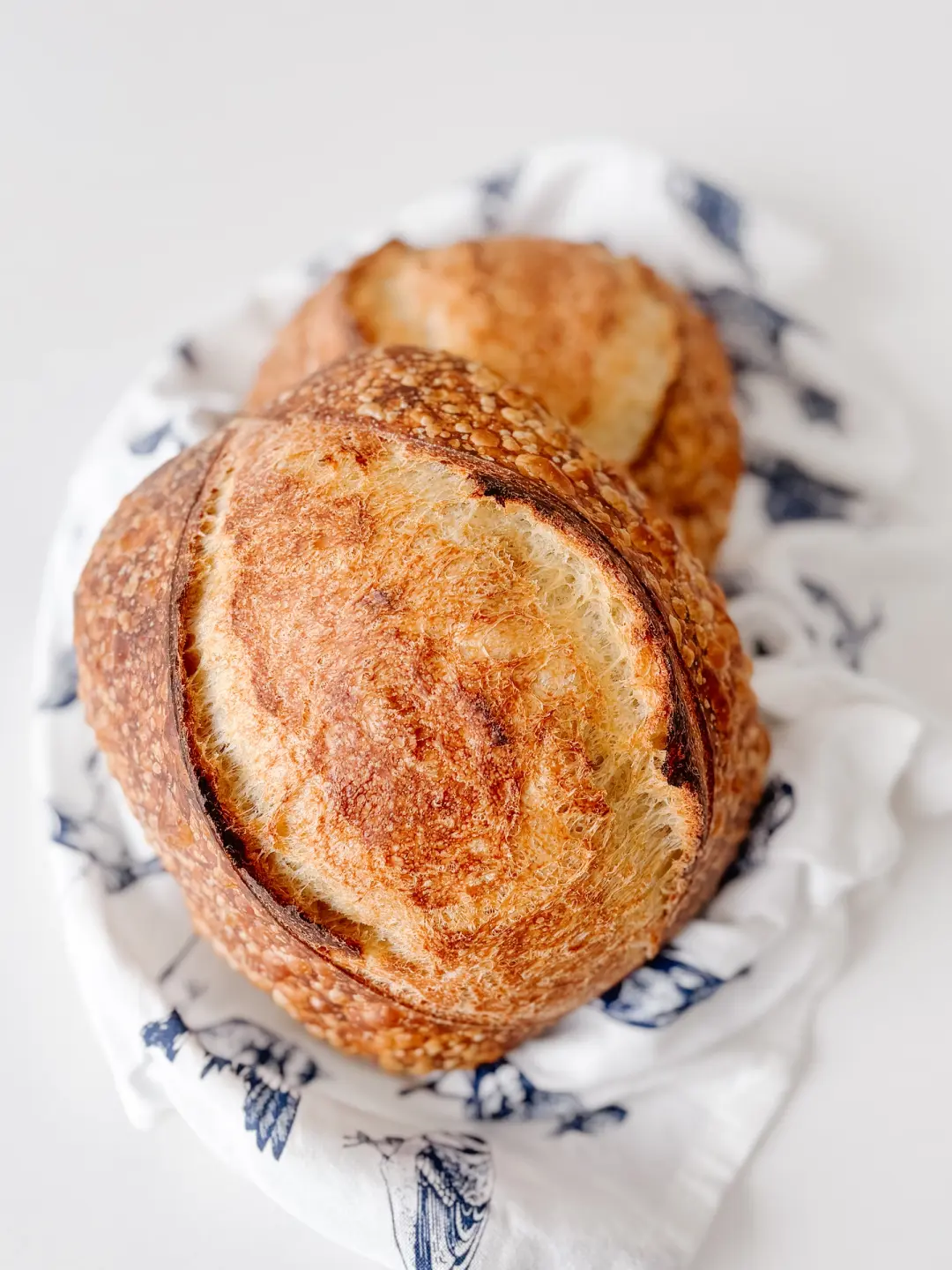 Benginner Sourdough class