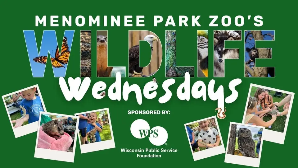 Wildlife Wednesday - On The Wing w/ Jane Kelly (Owls & Birds)