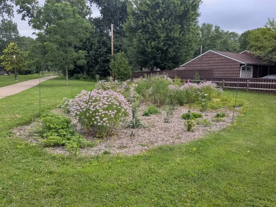 Tend Plantings - Orange Swale/Woods