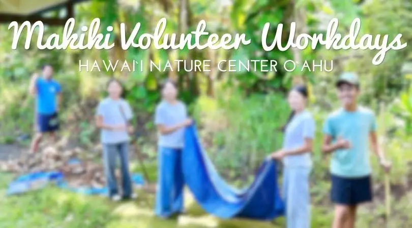Makiki Volunteer Workday