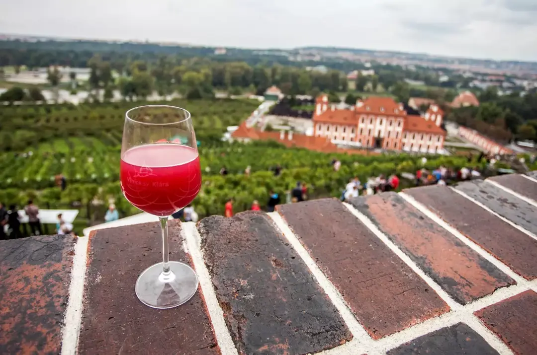 Pražské vinice 2026 – putování vinicemi hlavního města