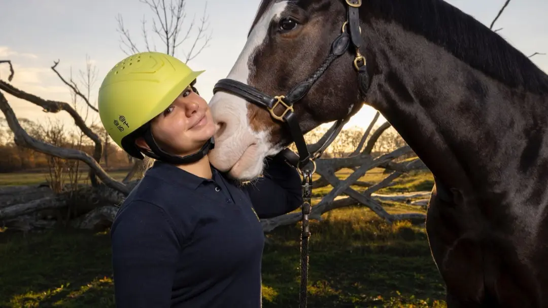 Horse welfare summit 2026