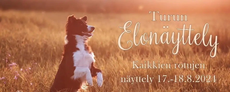 Elonäyttely 2026