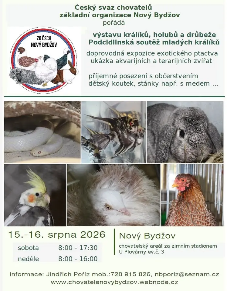 výstava drobného zvířectva v Novém Bydžově