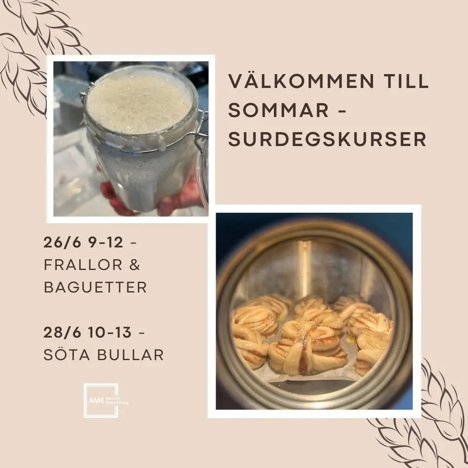 SOMMAR SURDEGSKURSER 