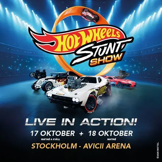 Hot Wheels Stunt Show 