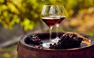 Introduksjon til vinsmaking