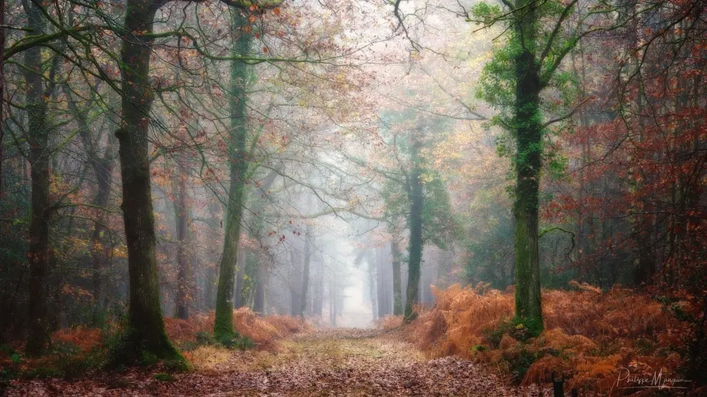 Meditative Silent Walk