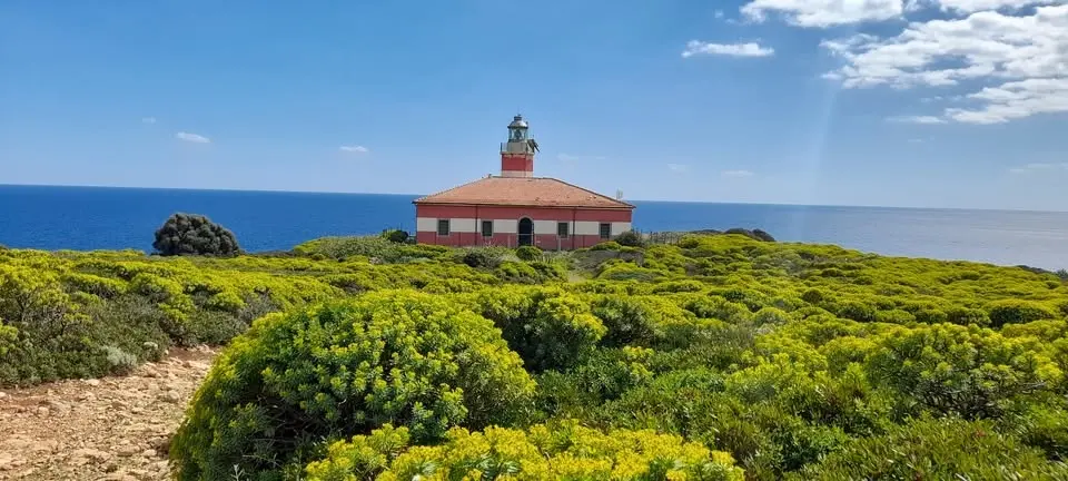 TREKKING SULL'ISOLA DI GIANNUTRI  con bagno
