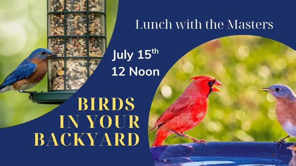 Birds in Your Backyard - Lunch with the Masters
